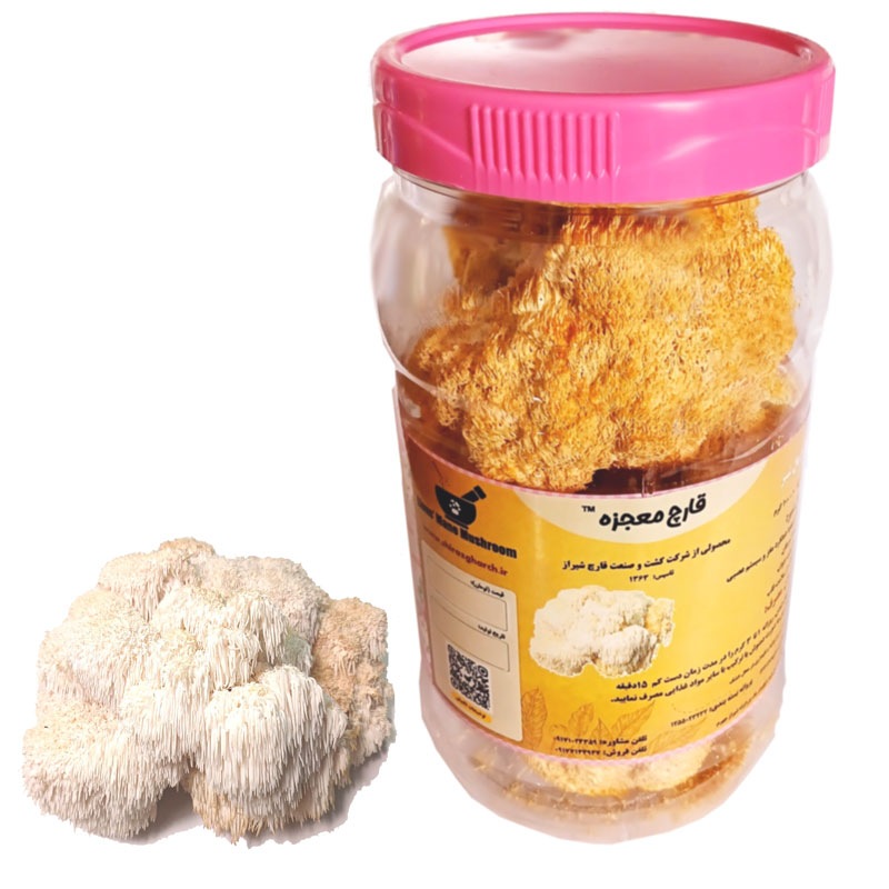 lmw100 قارچ یال شیر